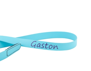 Halsband Pferd Hellblau, Name